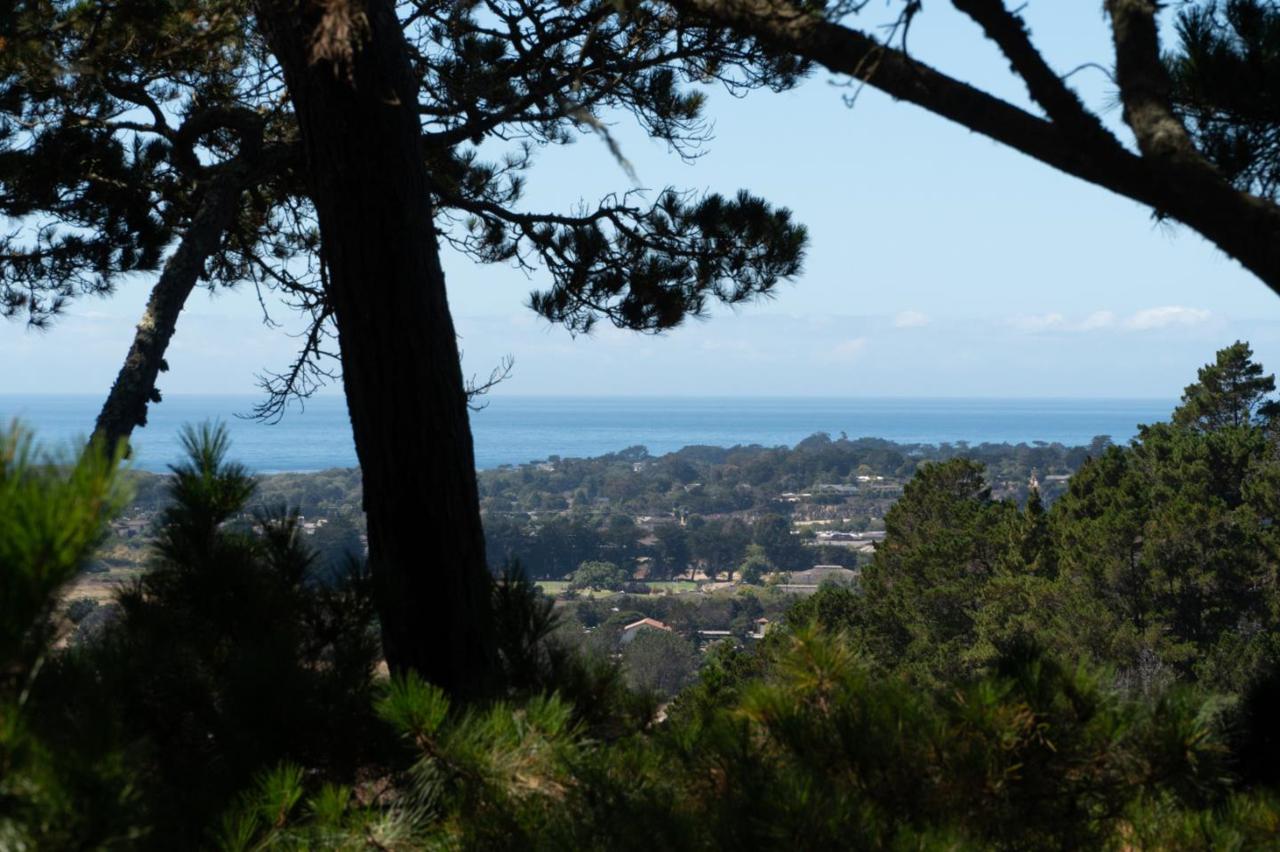 32 Del Mesa Carmel - Photo 1