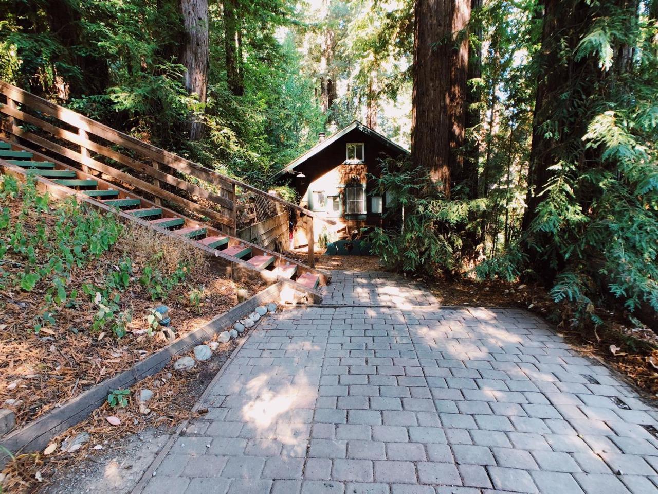 398 Shadow Mountain Rd - Photo 1