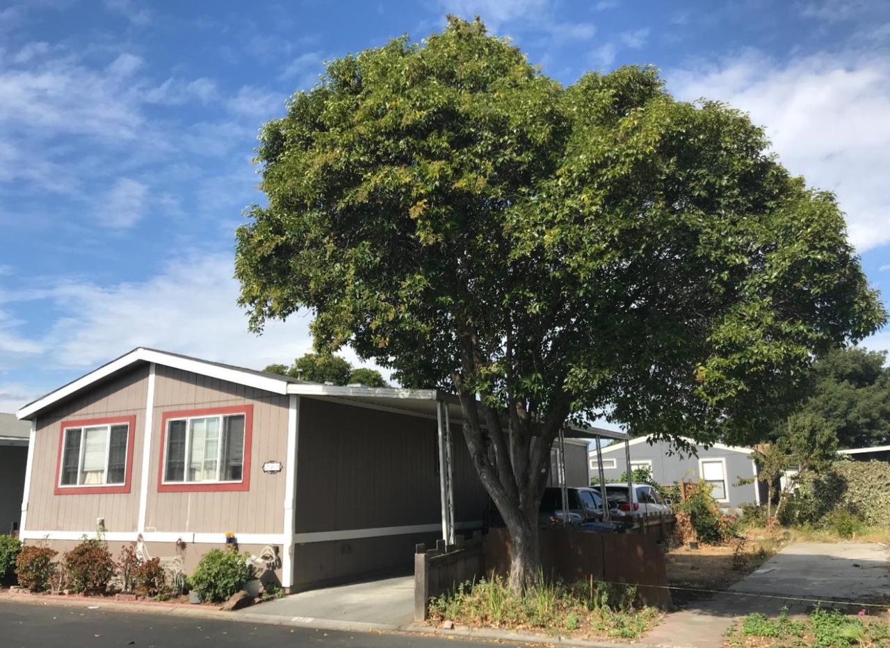 2151 Oakland Rd 211 - Photo 1