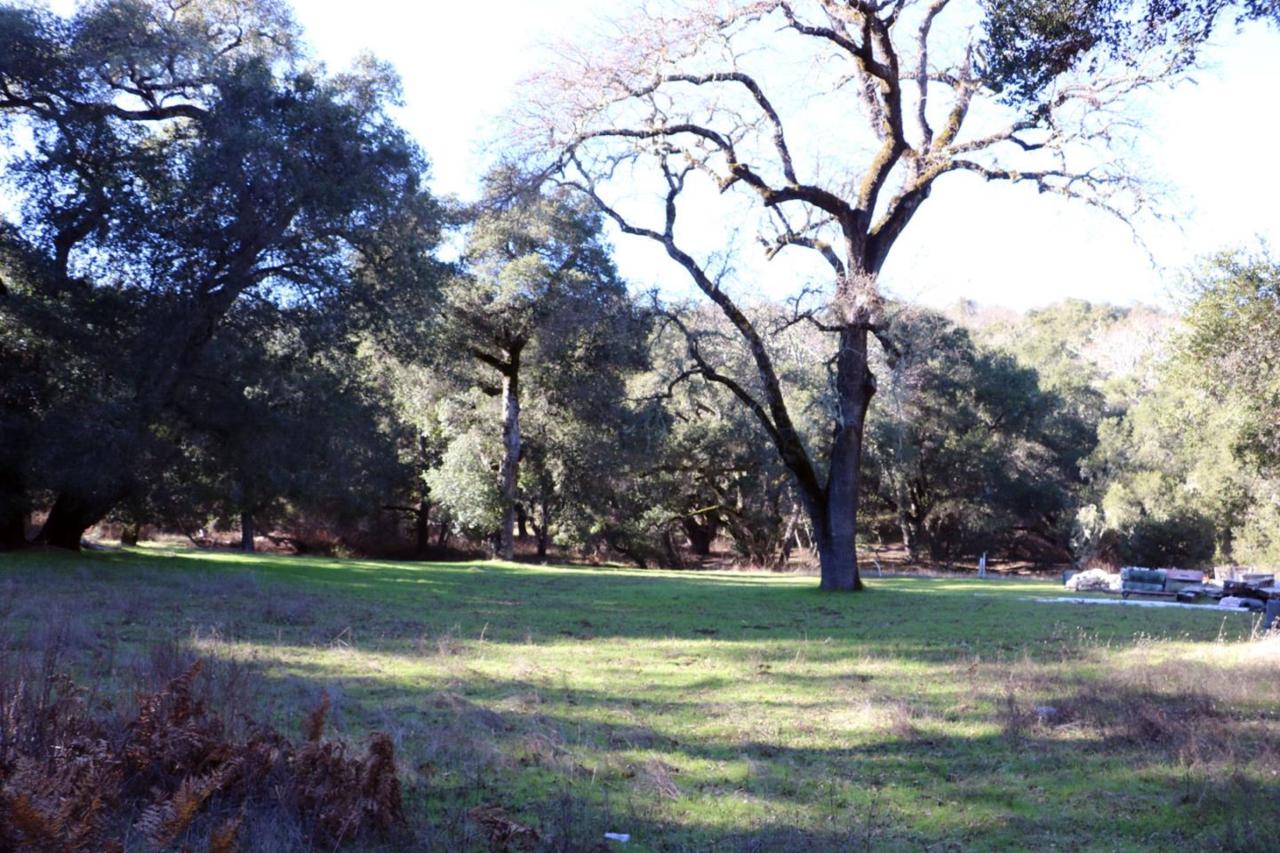 34180 Robinson Canyon Rd - Photo 1