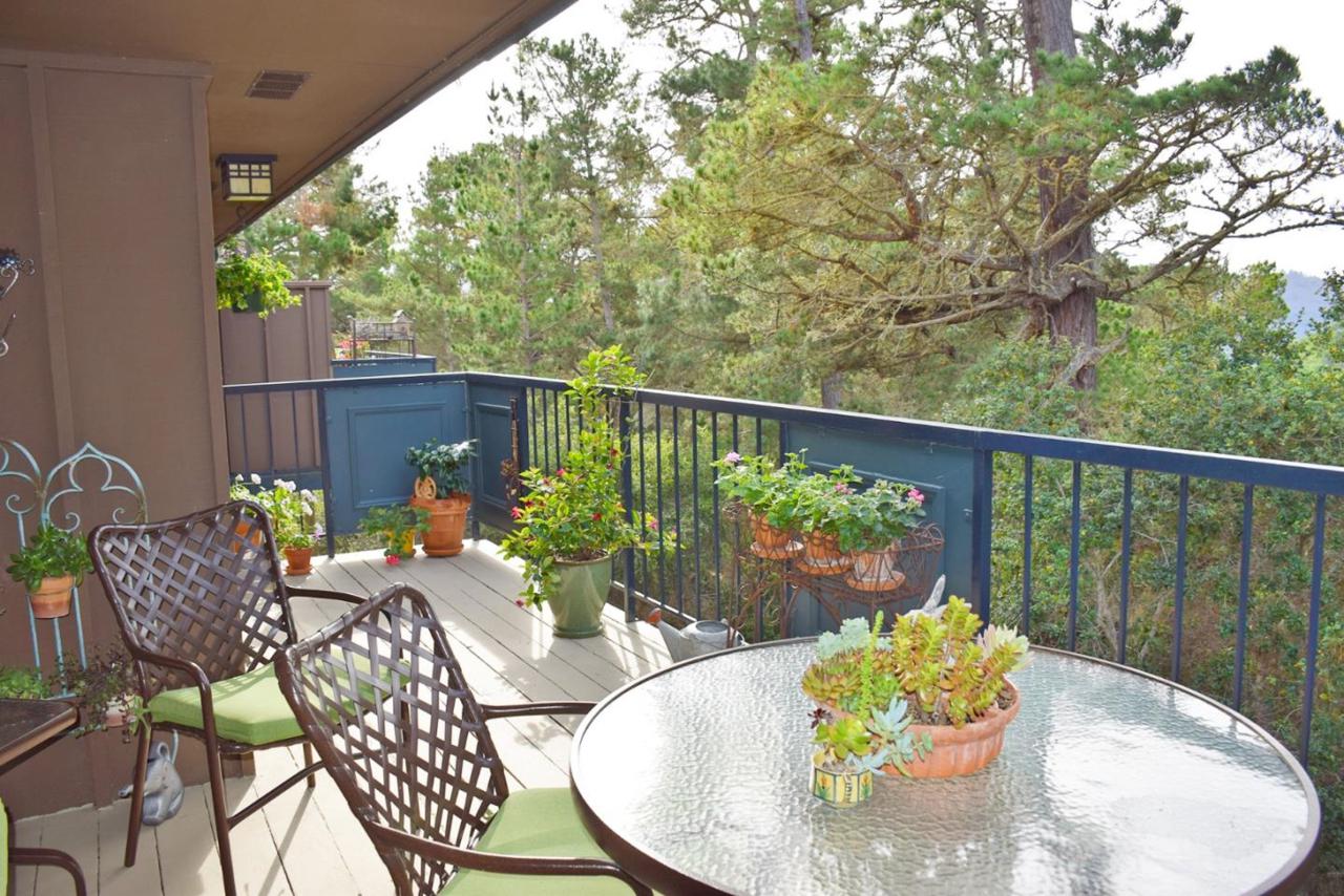 281 Del Mesa Carmel - Photo 1