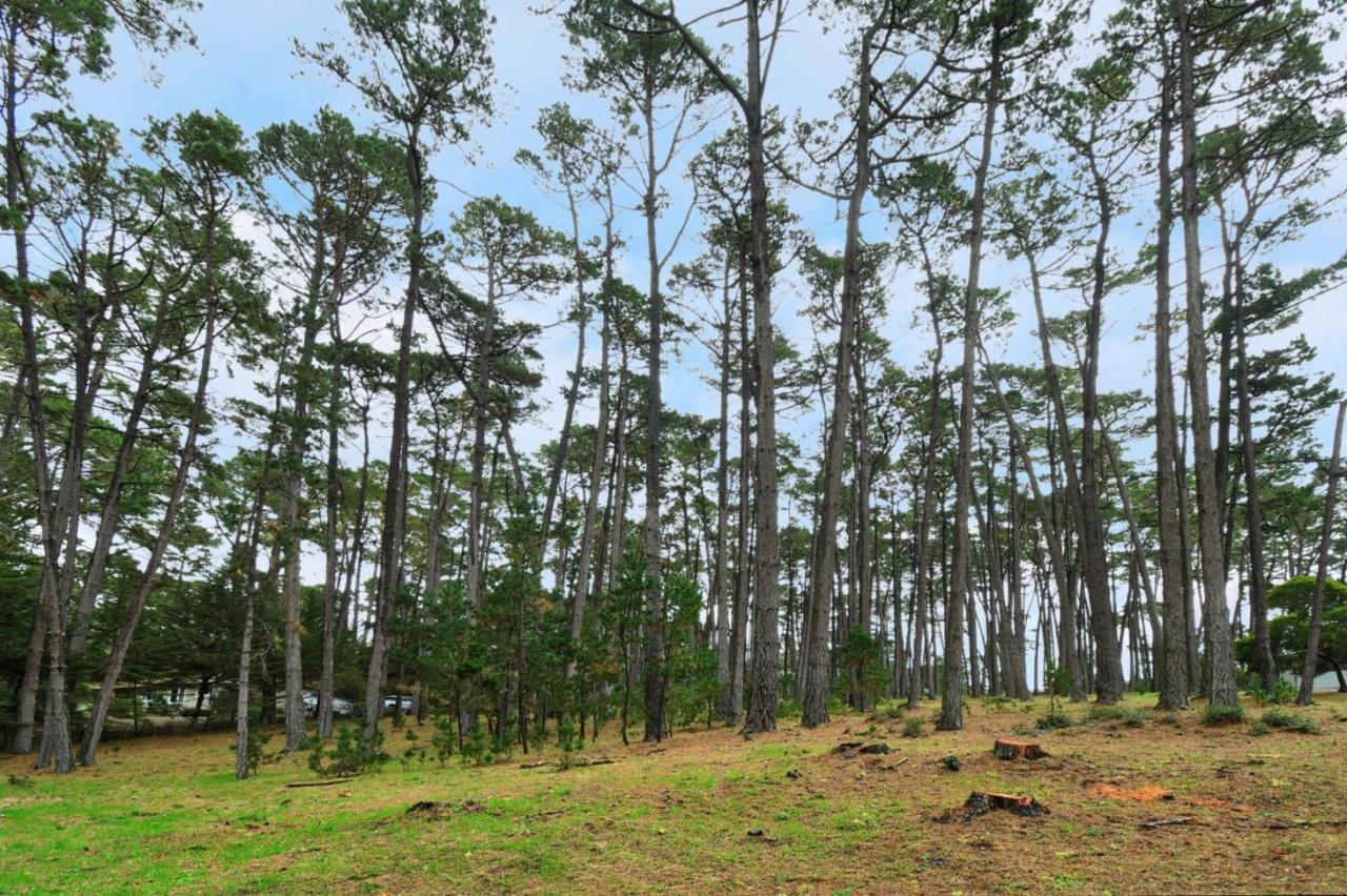 4019 Sunridge Rd - Photo 1