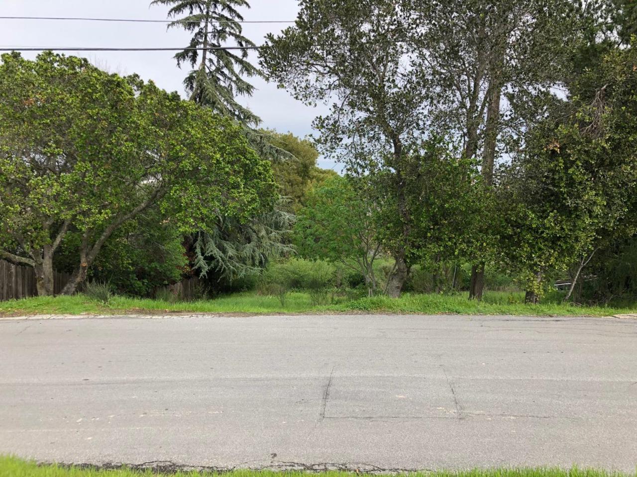 0 Palomar - Photo 1