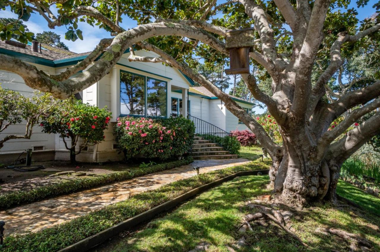 587 Viejo Rd - Photo 1