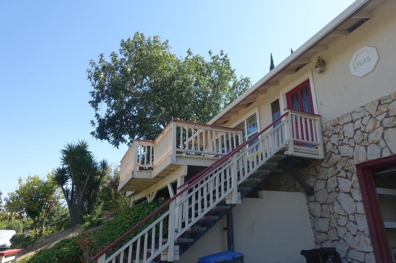 3645 Morrie Dr - Photo 1