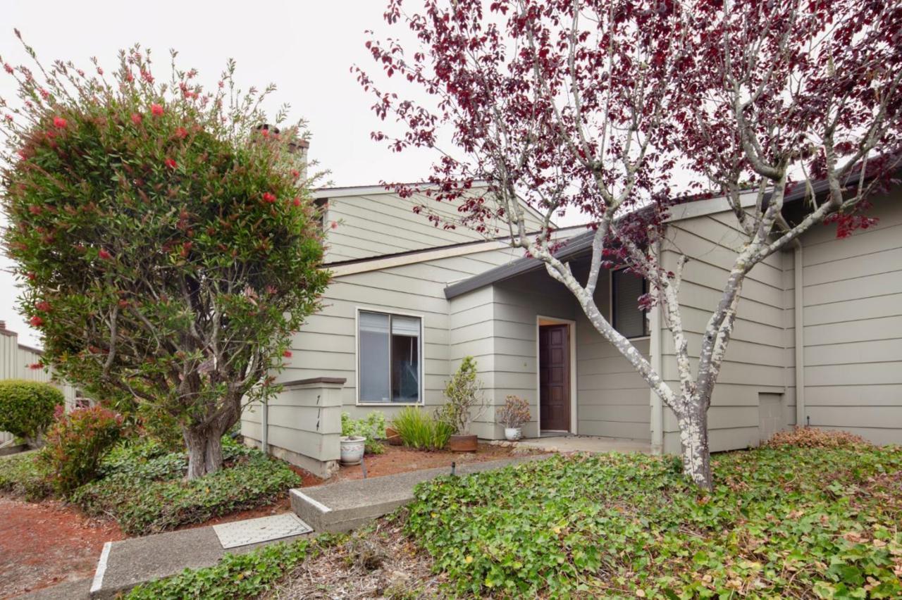 714 Timber Trl - Photo 1