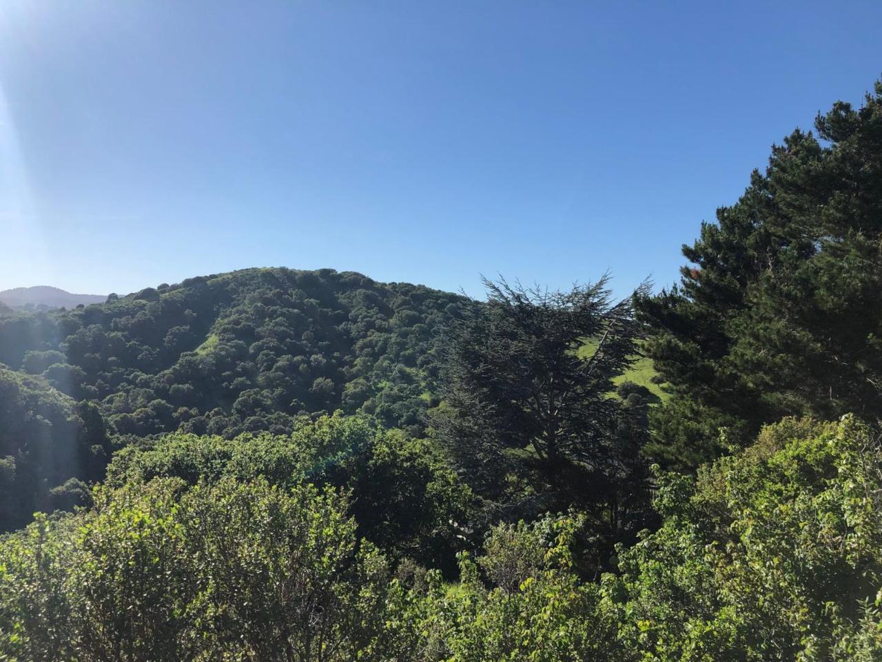 0 Alhambra Dr - Photo 1
