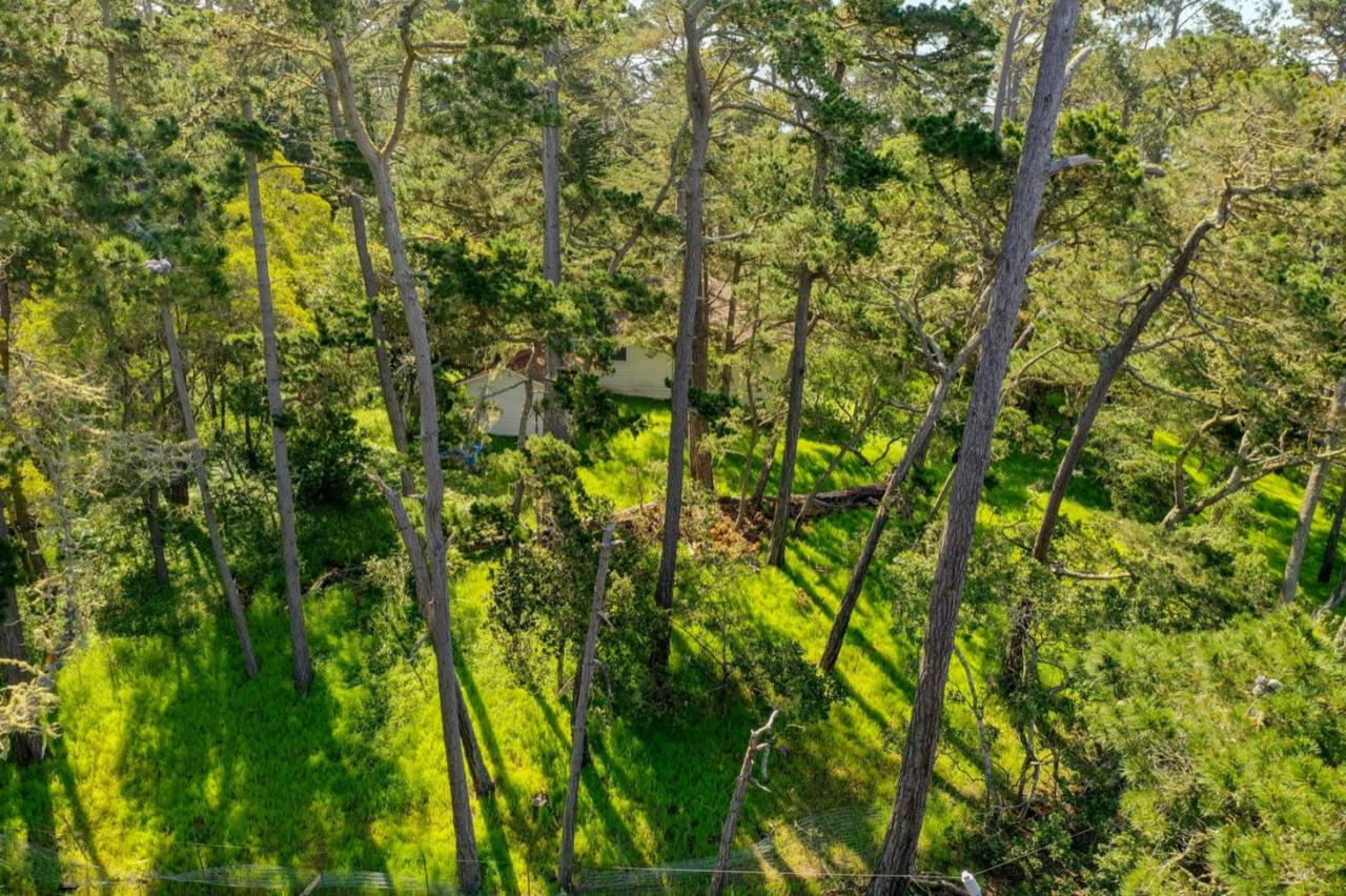 24744 Dolores - Photo 1