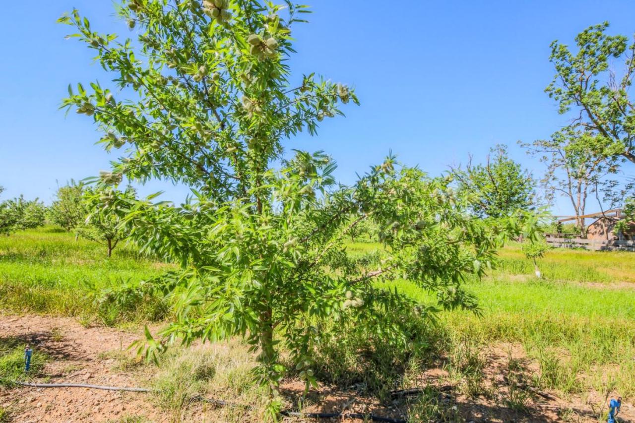 10042 Clay Station Rd - Photo 1