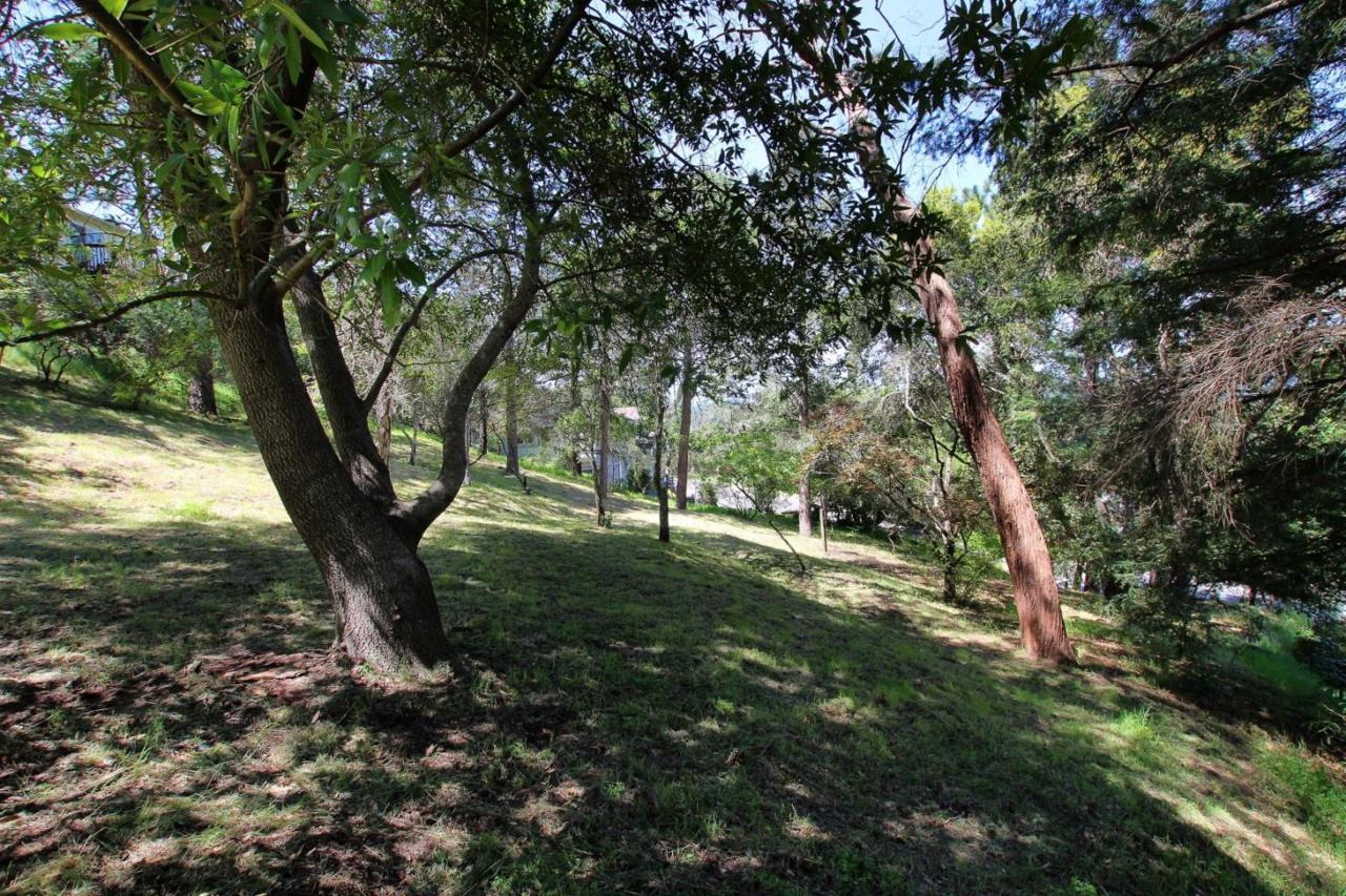 115 Alto Sol Ct - Photo 1