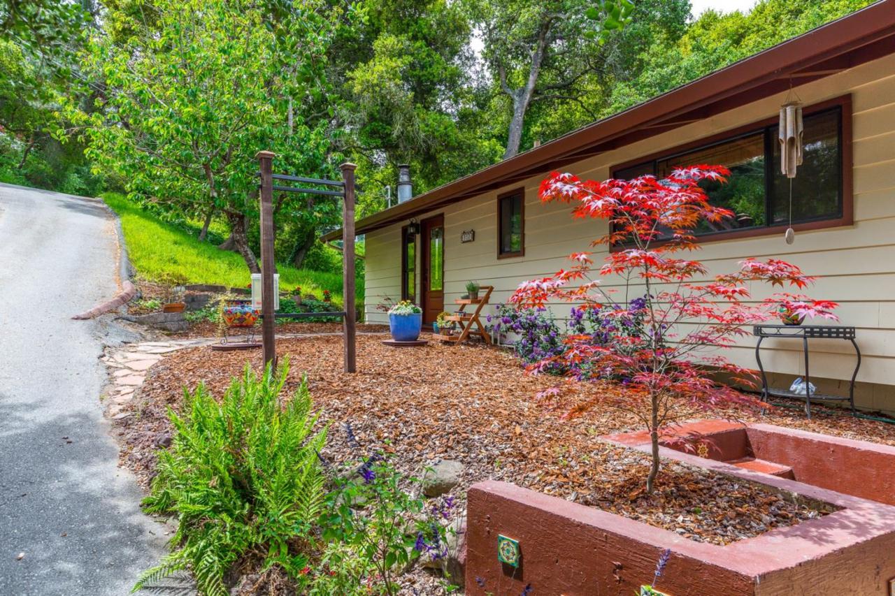 813 Loma Prieta Dr - Photo 1