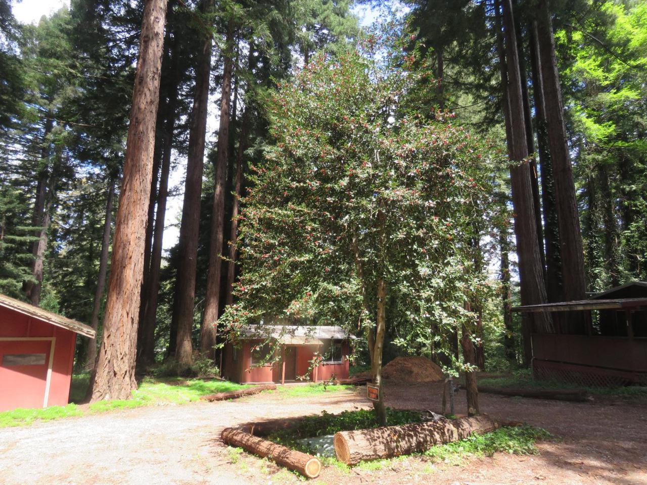 13070 Redwood Ave - Photo 1