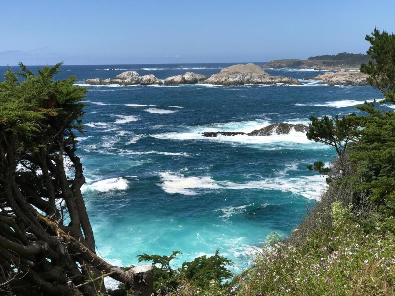 244 Highway 1 #3 - Photo 1