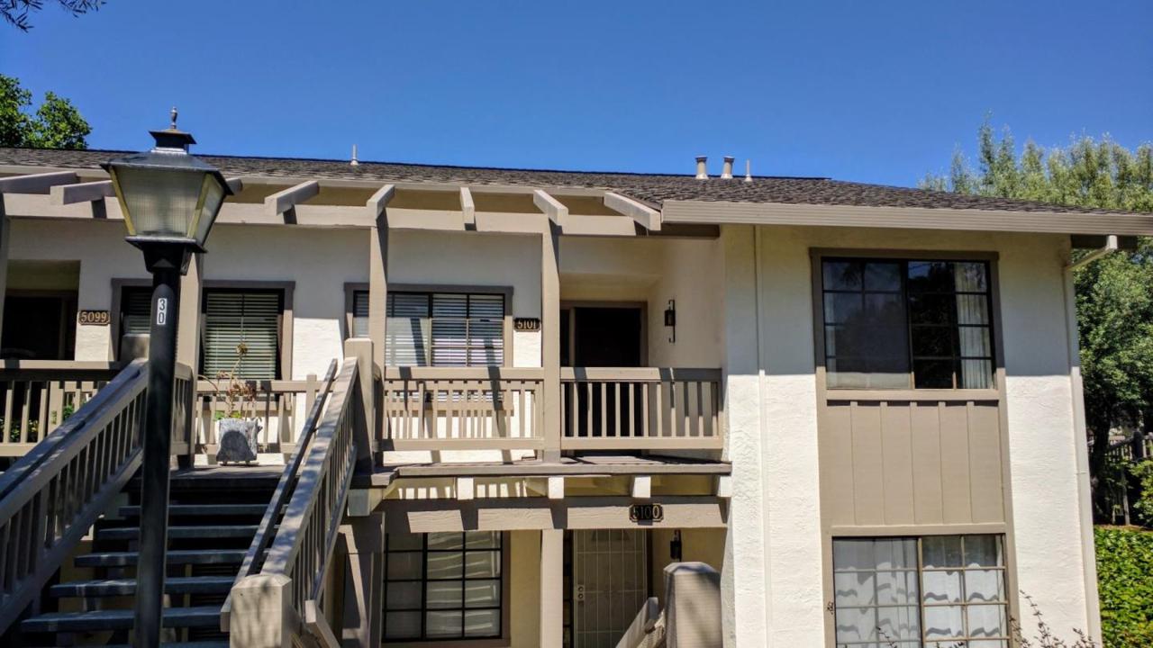 5101 Cribari Pl - Photo 1