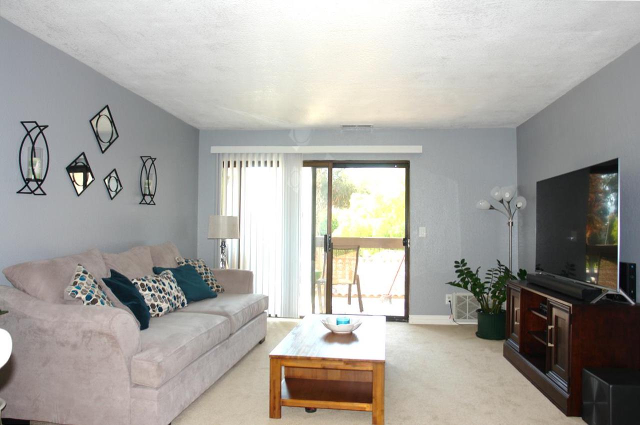 39997 Cedar Blvd 244 - Photo 1 39997 Cedar Blvd 244 - Photo 1