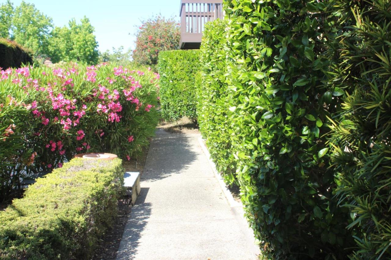 22 Doris Court - Photo 1