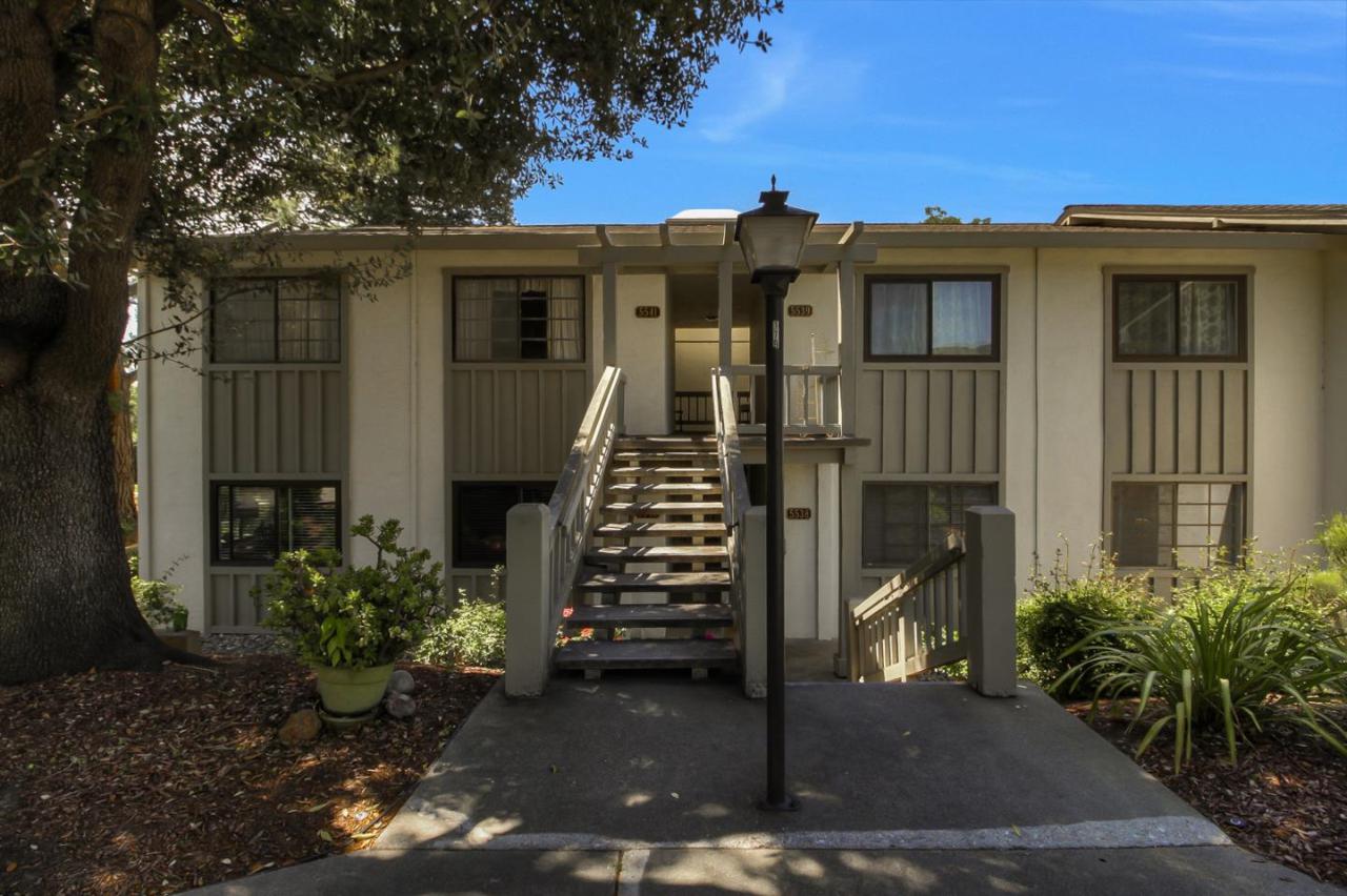 5538 Cribari Cir - Photo 1