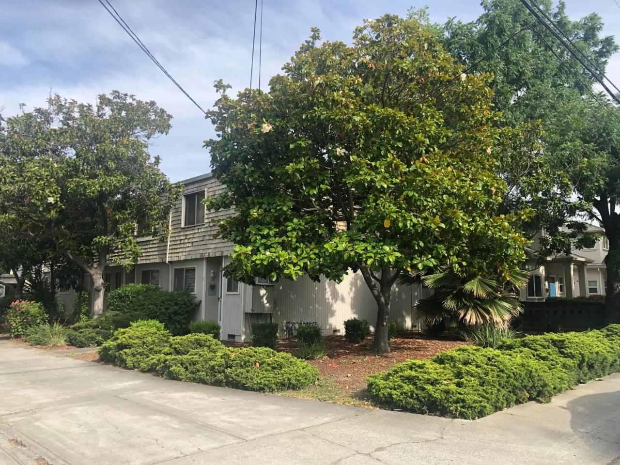 382 Cypress Ave 1 - Photo 1