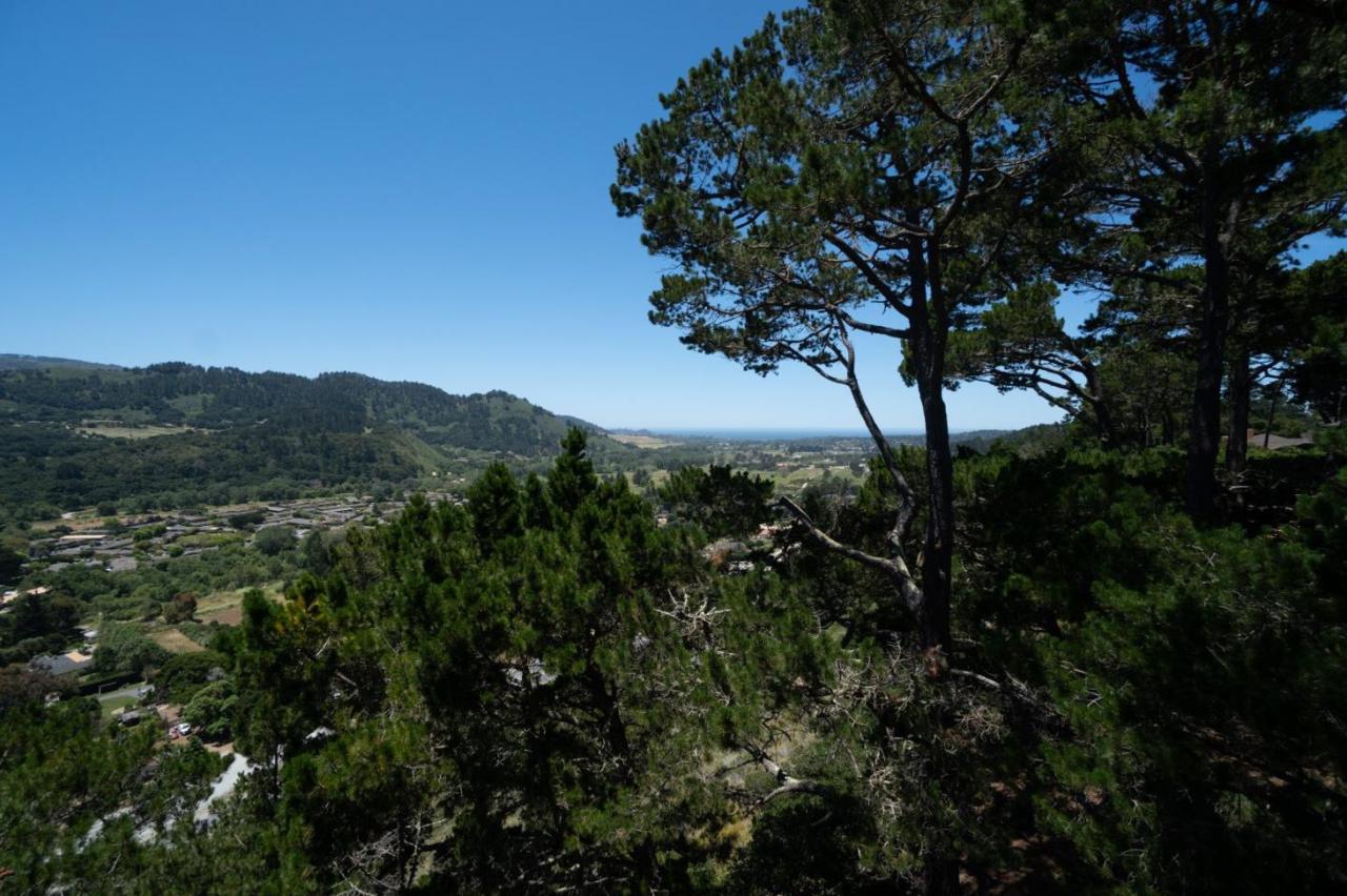 49 Del Mesa Carmel - Photo 1