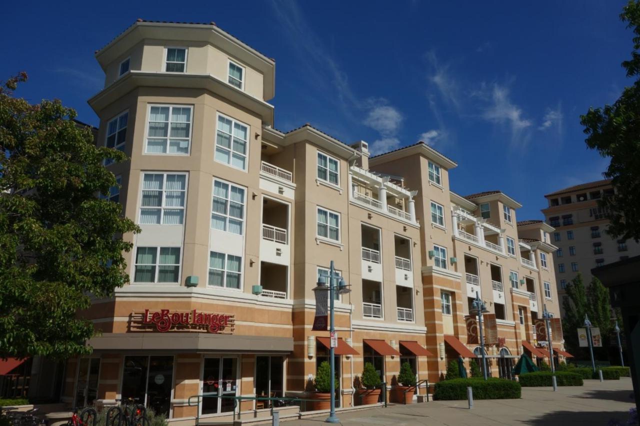 20488 Stevens Creek Blvd 1206 - Photo 1