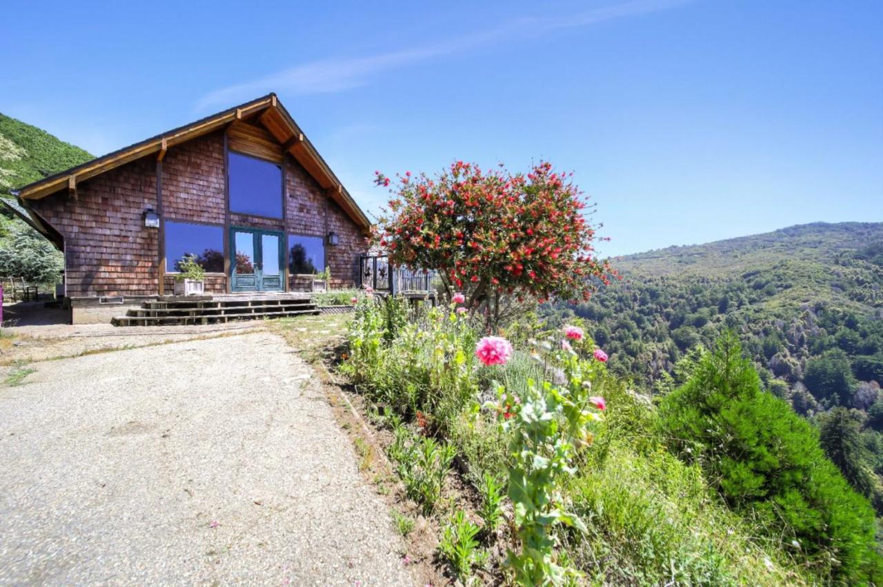 37719 Palo Colorado Rd - Photo 1