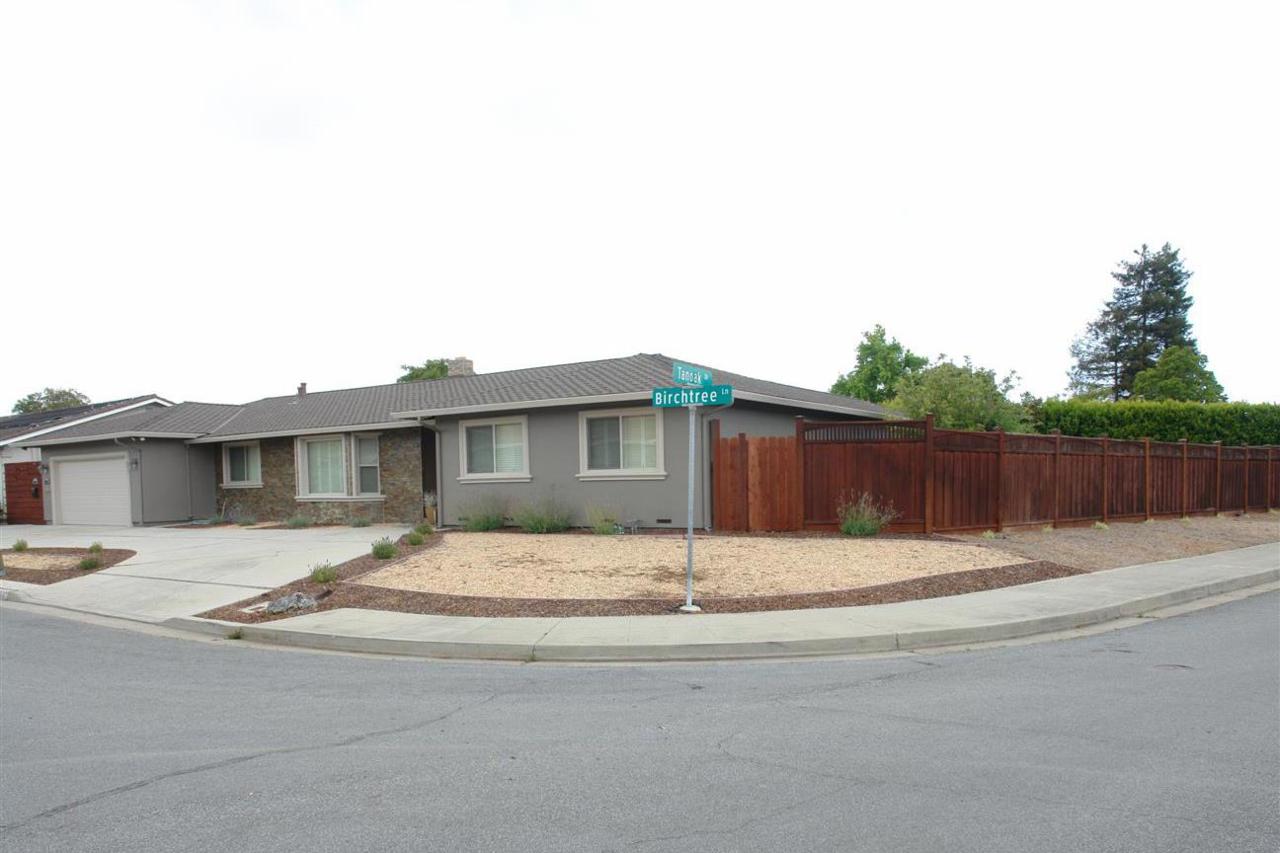 2647 Birchtree Ln - Photo 1