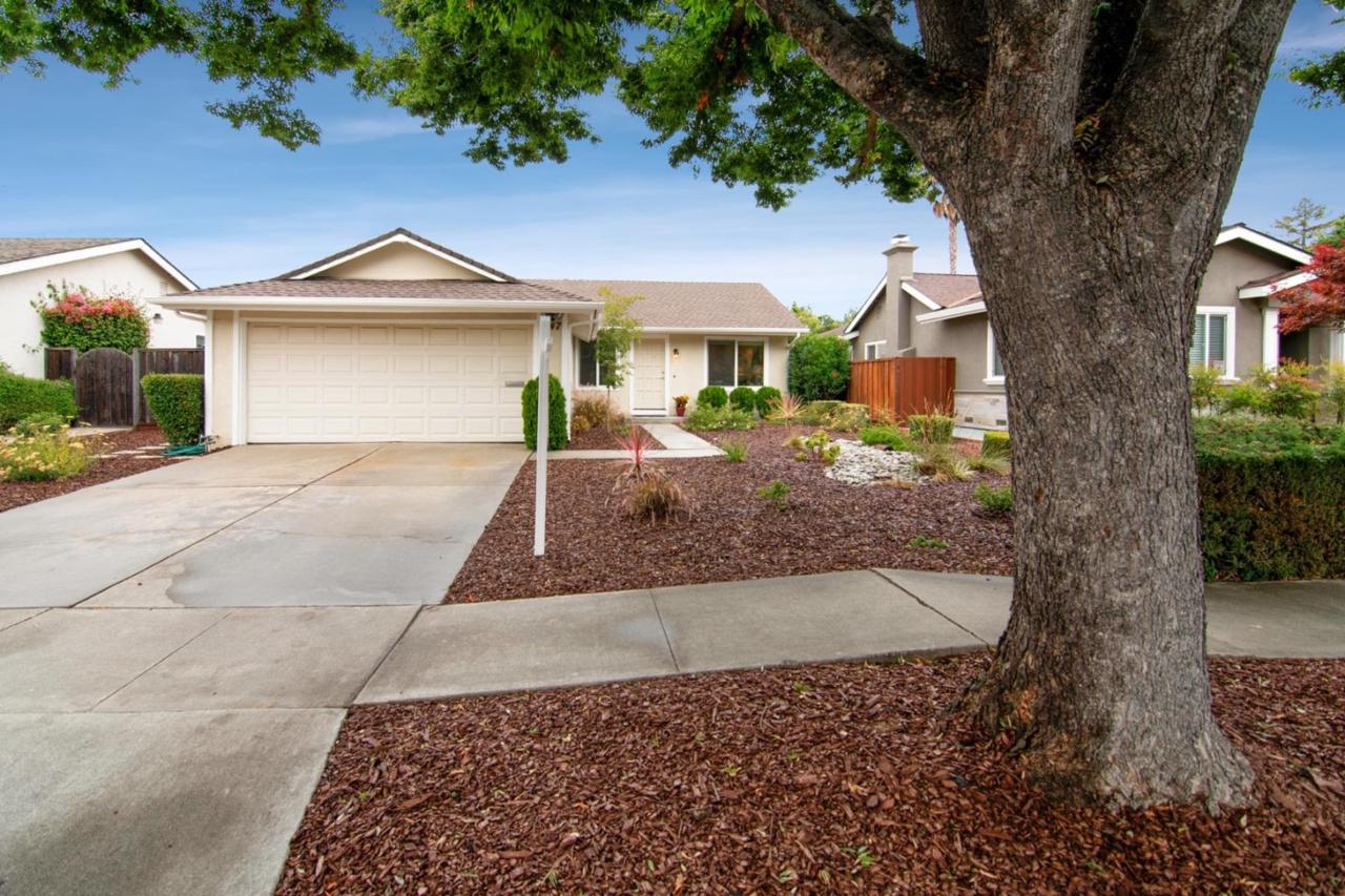 447 Curie Dr - Photo 1