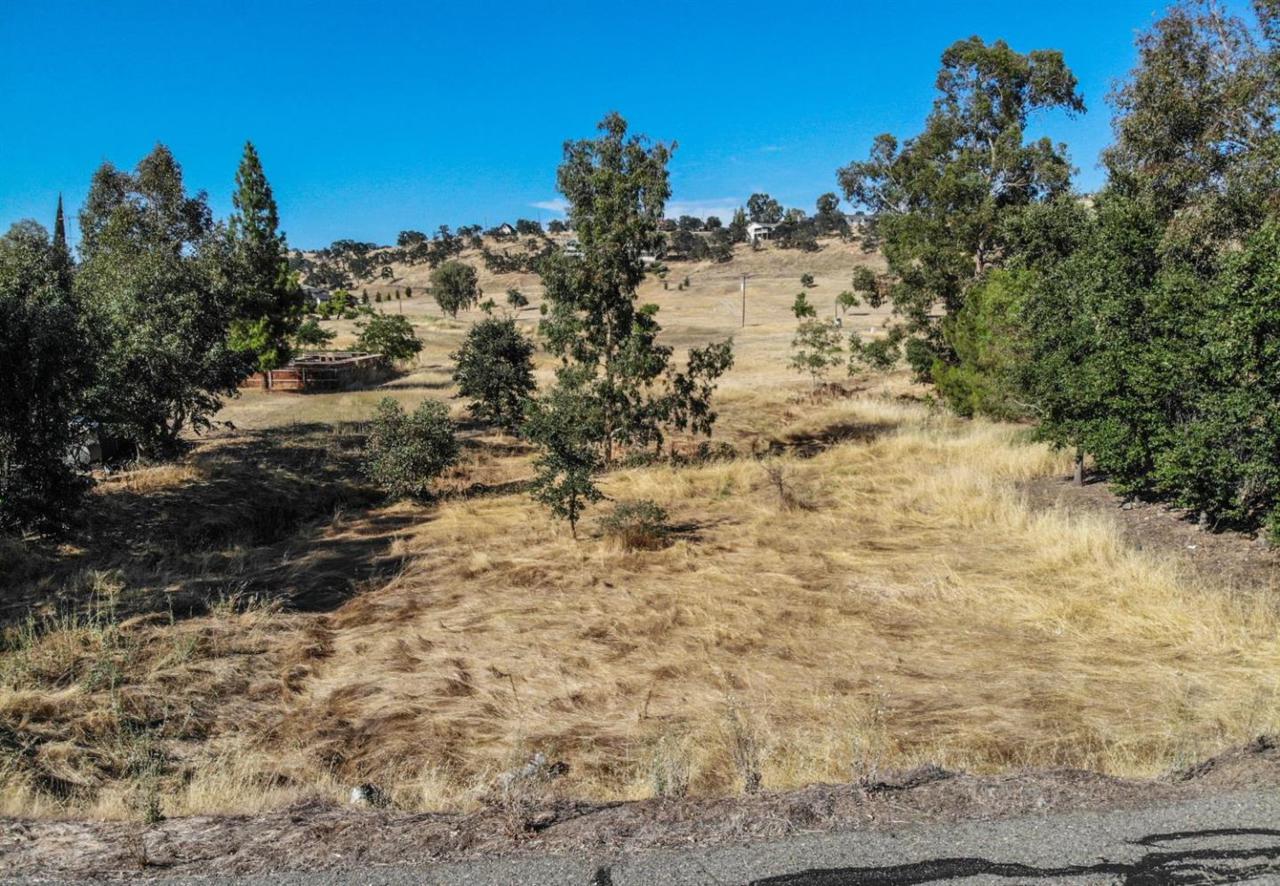 9604 Panchito Way - Photo 1