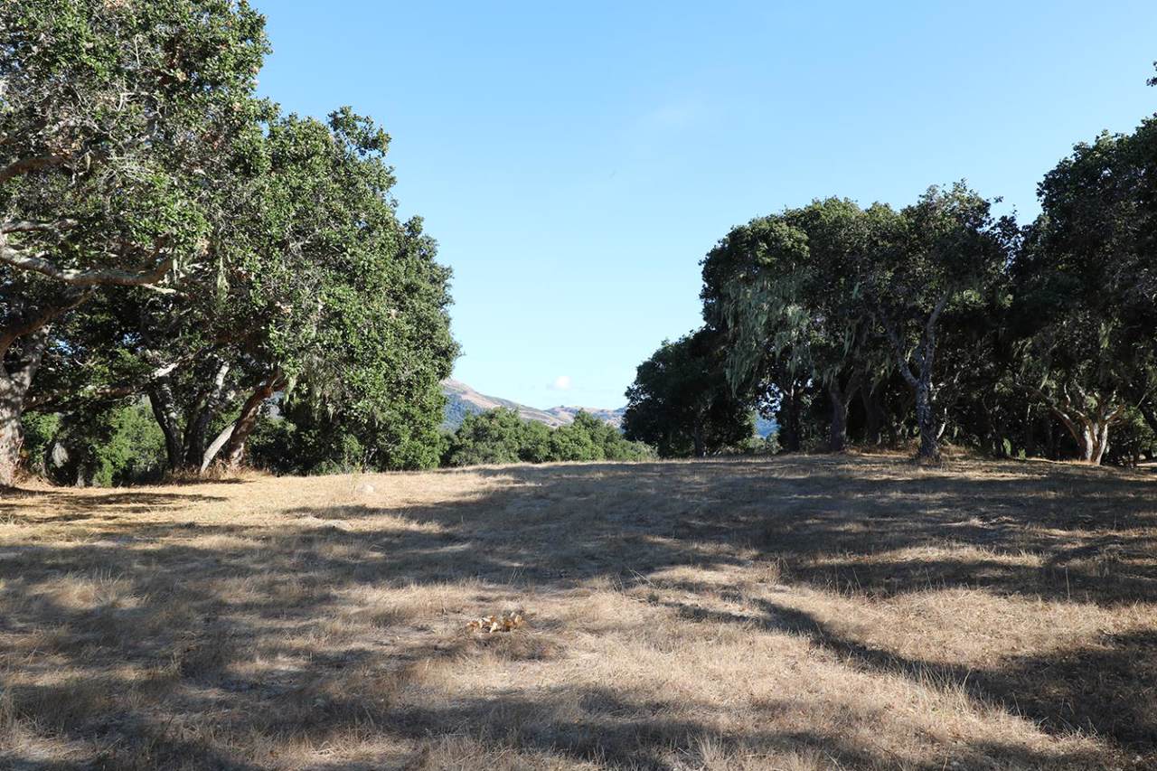 11 Mesa Trl - Photo 1