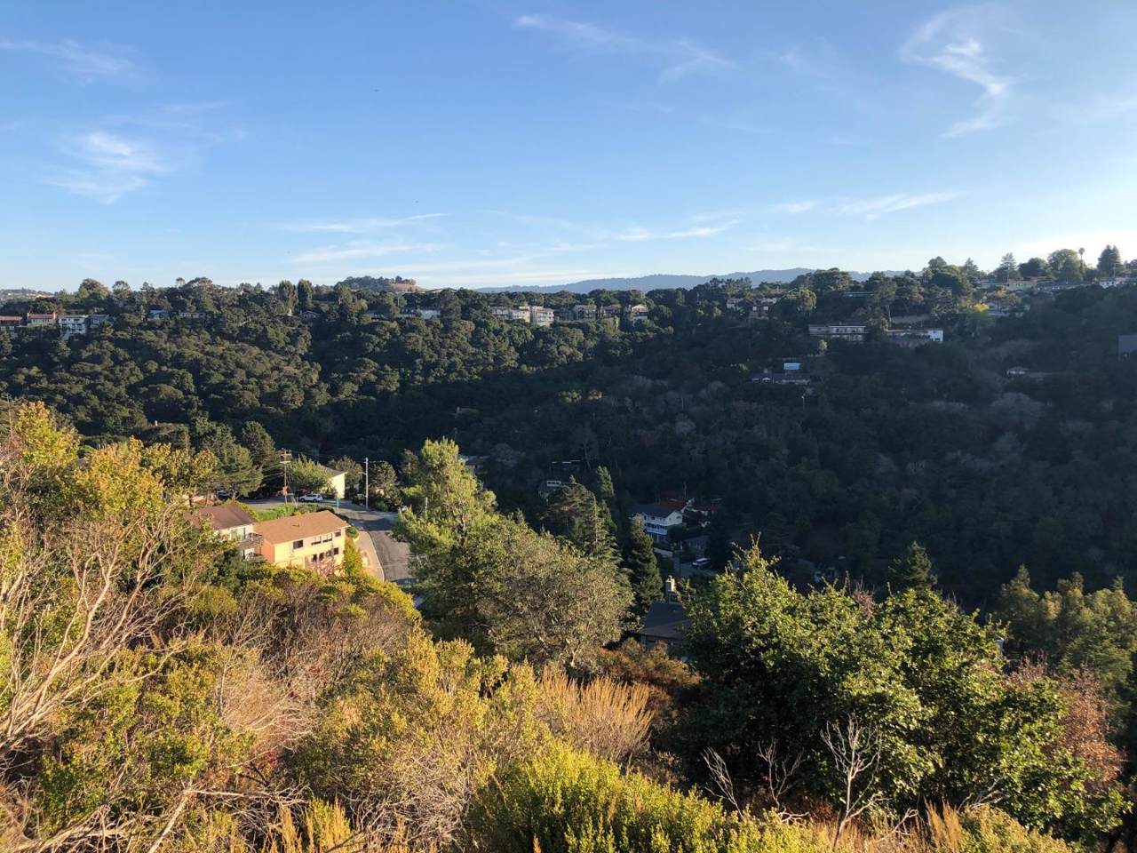 000 Monte Cresta Dr - Photo 1