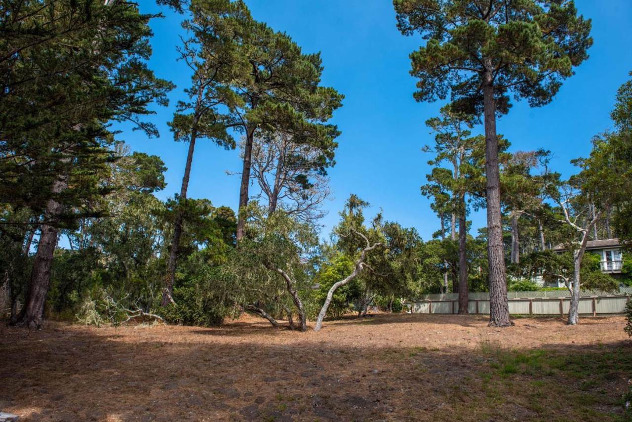 0 Oak Way - Photo 1