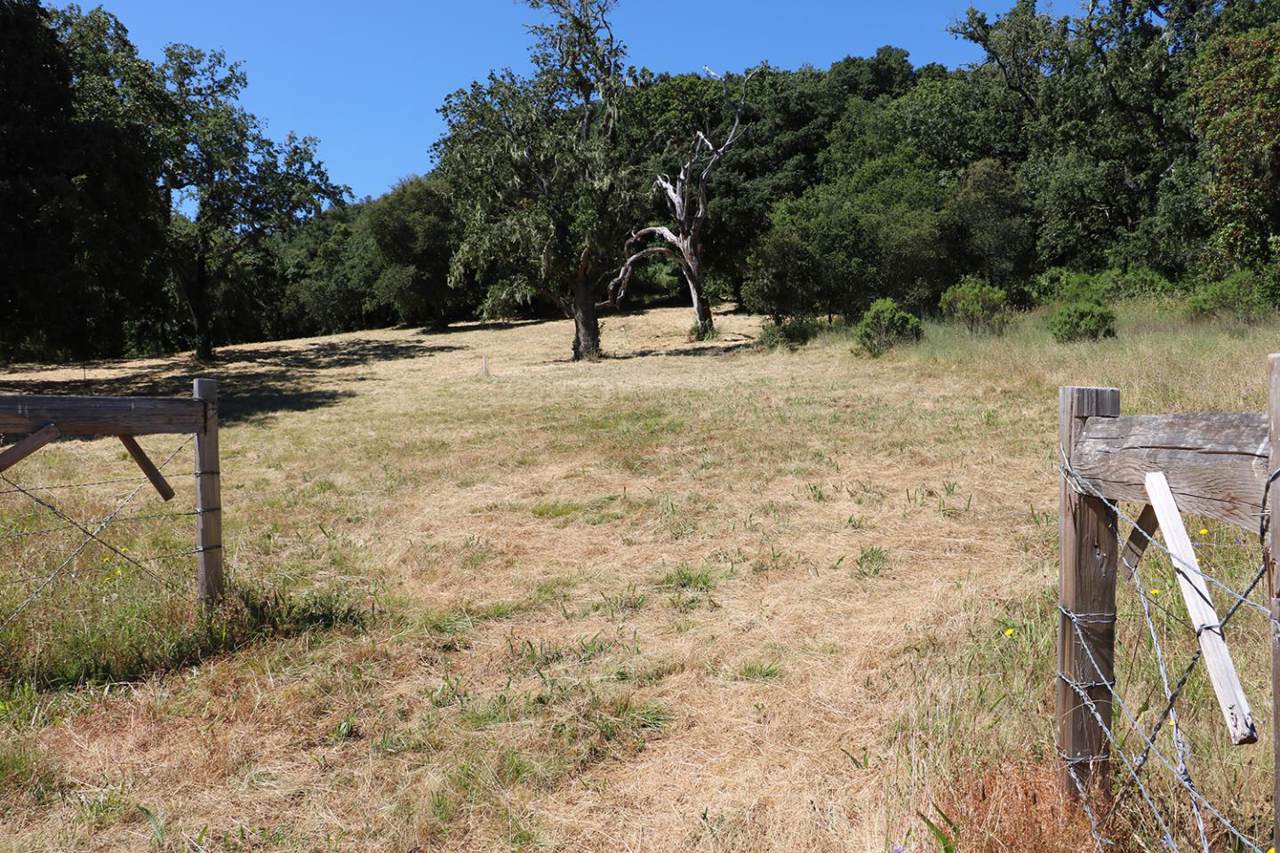 34221 Robinson Canyon Rd - Photo 1