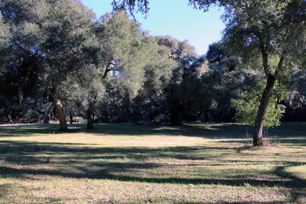 12 Arroyo Sequoia - Photo 1 12 Arroyo Sequoia - Photo 1