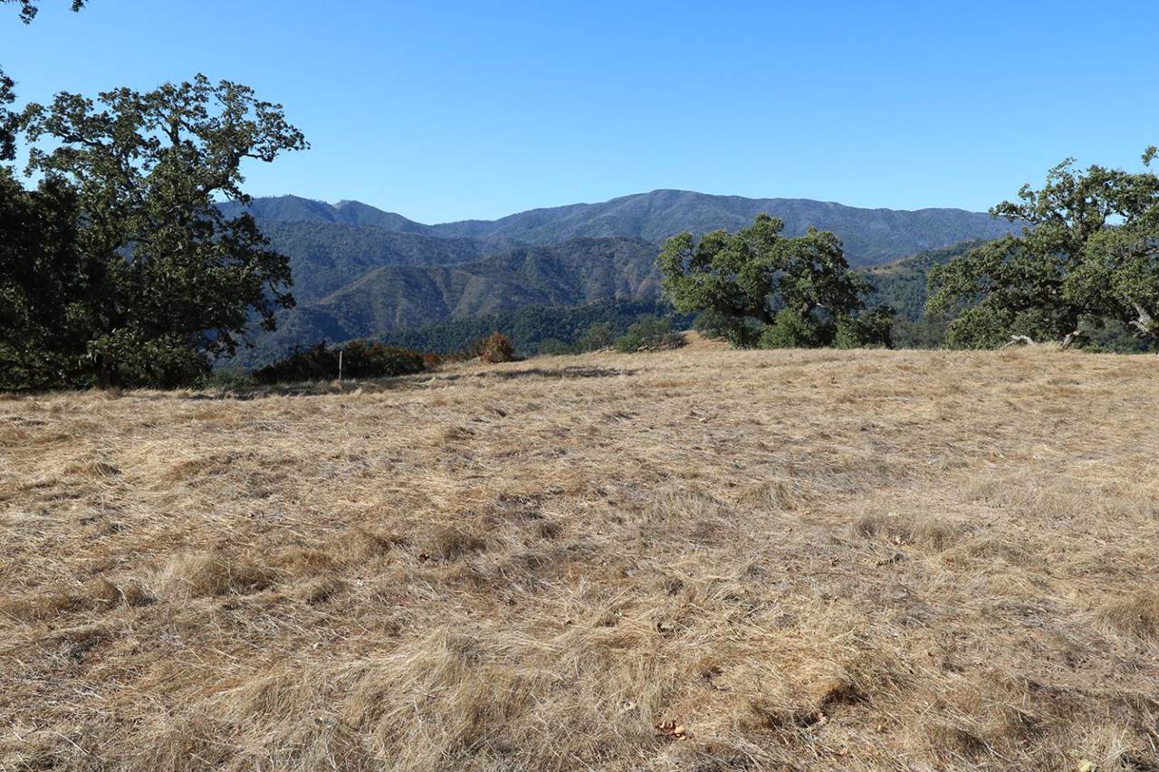 24 Long Ridge Trl - Photo 1