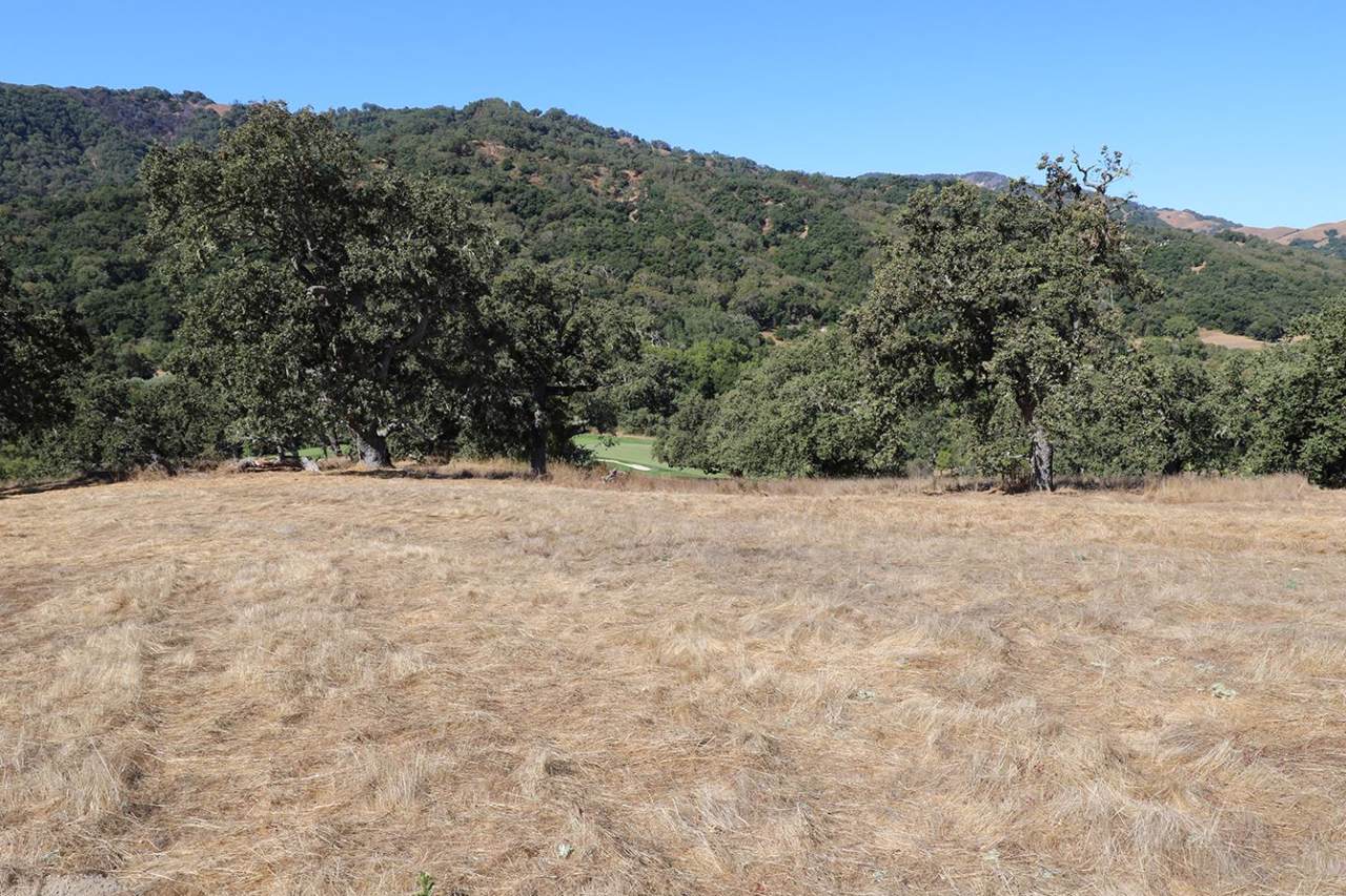 33800 Robinson Canyon Rd - Photo 1 33800 Robinson Canyon Rd - Photo 1