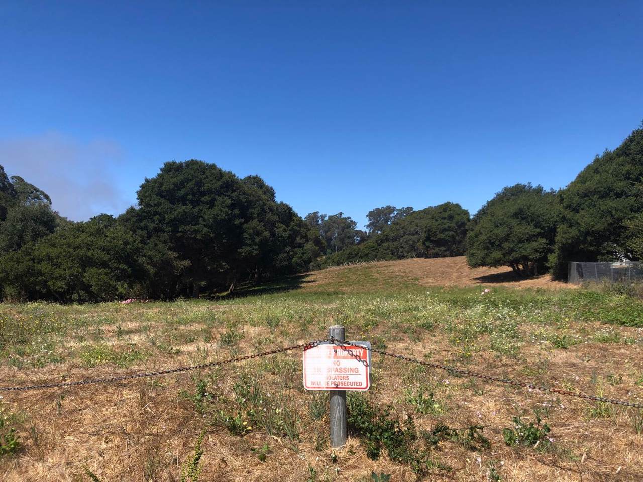605 Harbor Vista Ln - Photo 1