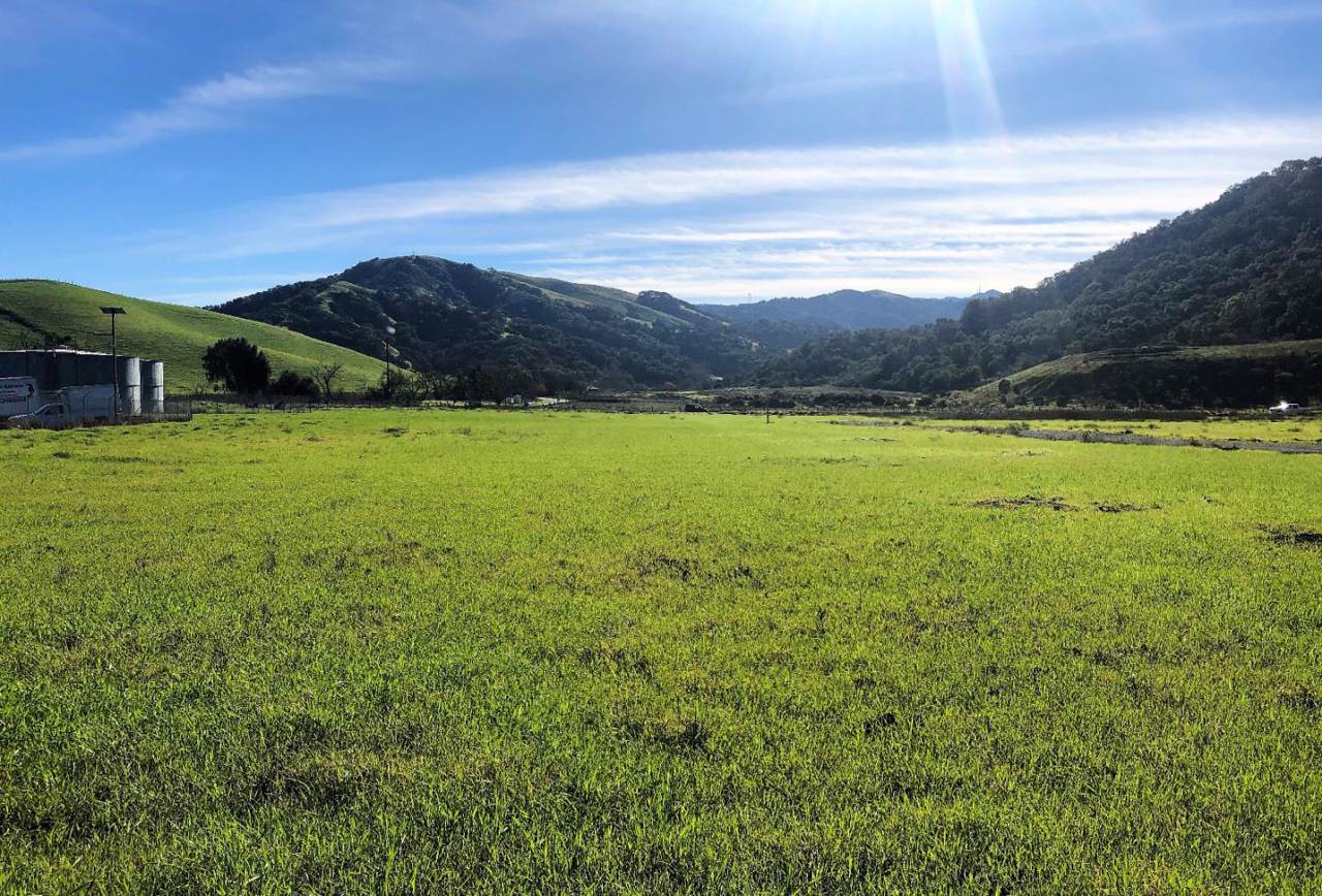 810 Salinas Rd - Photo 1