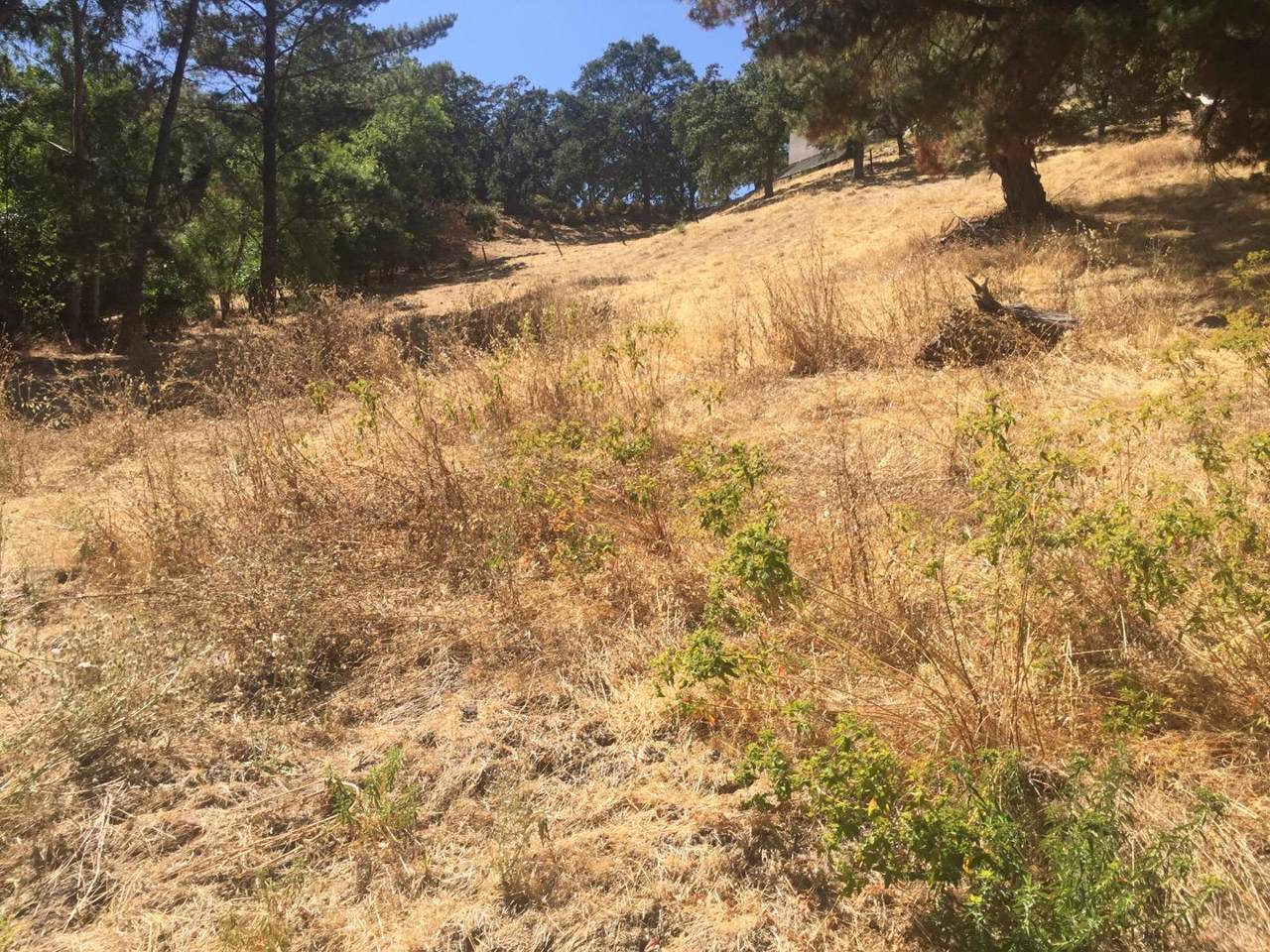 221 Dean Rd - Photo 1