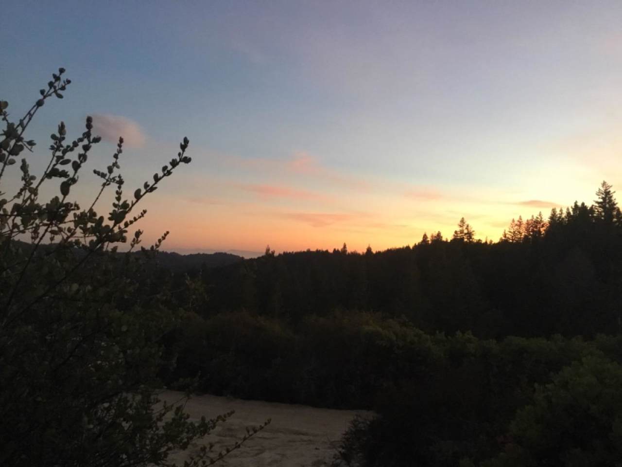 Lot 8 Amber Ridge Loop - Photo 1