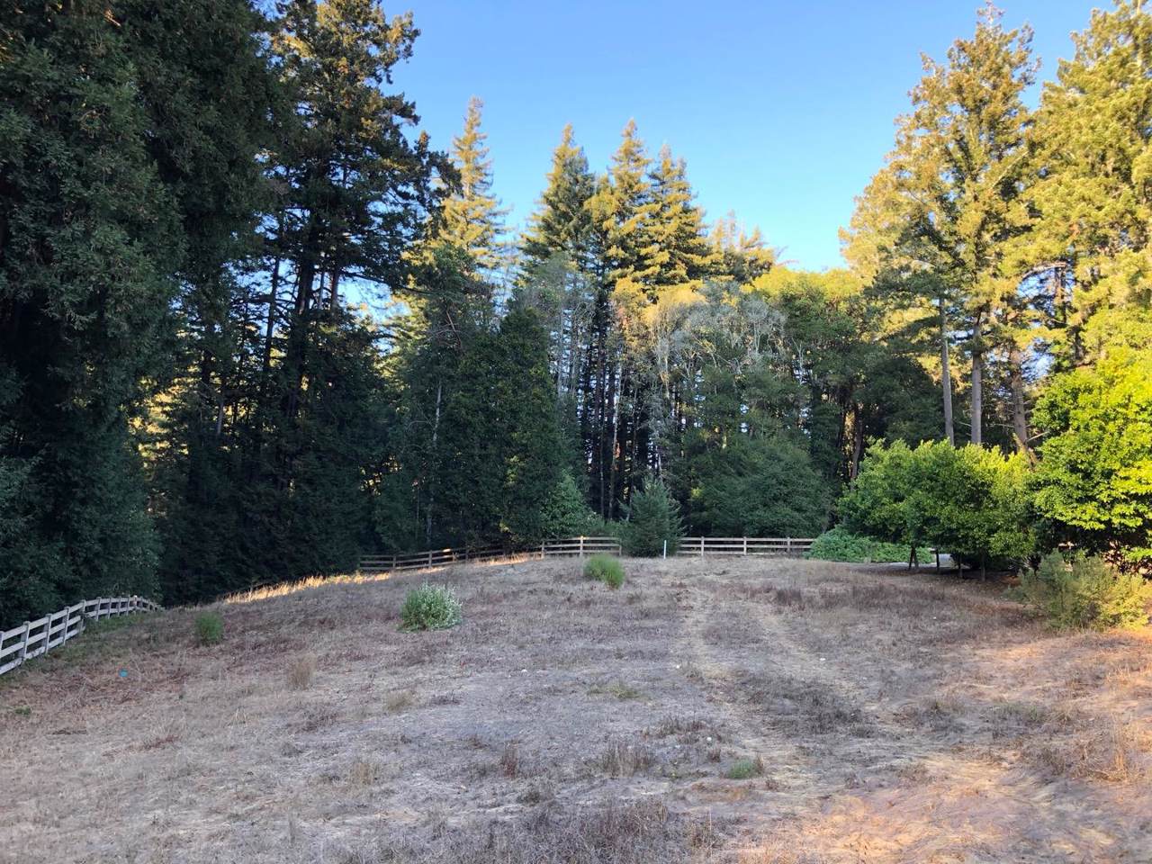 665 Henry Cowell Dr - Photo 1
