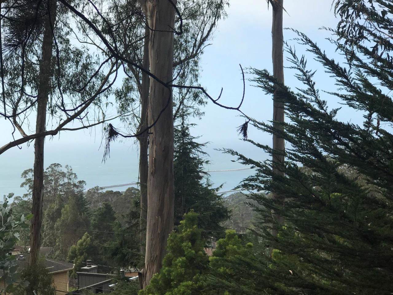 0 Avenue Portola - Photo 1