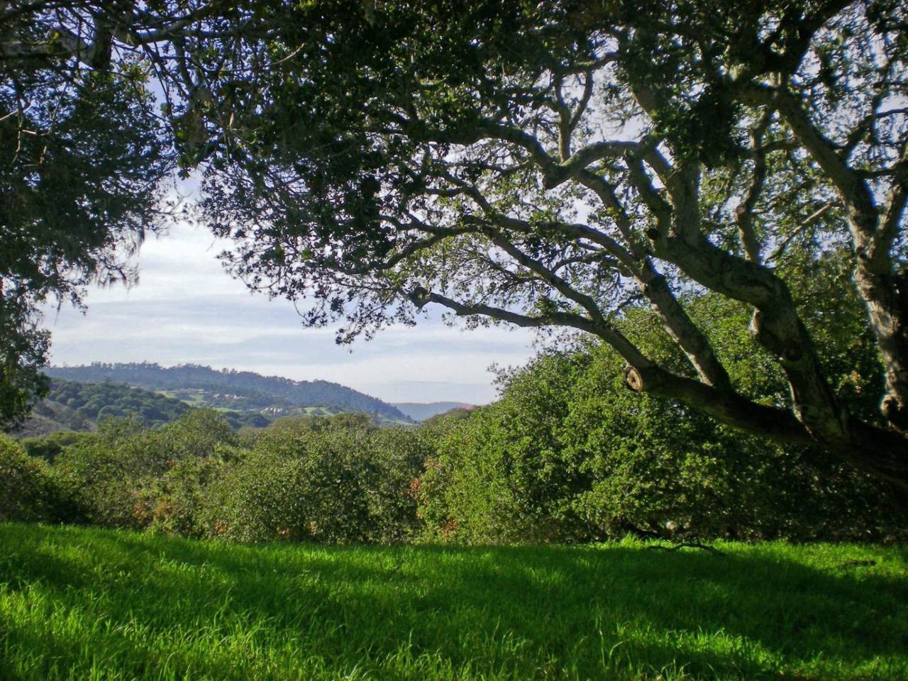8345 Monterra Views (Lot 151) - Photo 1