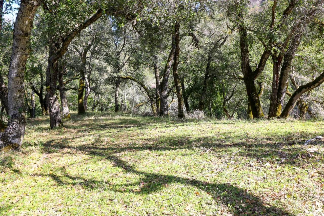 35000 Robinson Canyon Rd - Photo 1 35000 Robinson Canyon Rd - Photo 1
