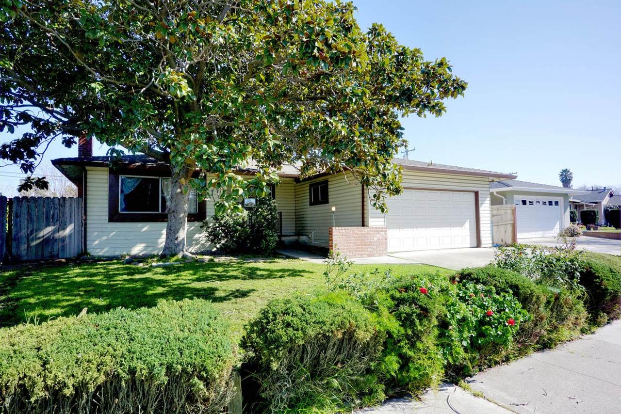 146 Heath St - Photo 1