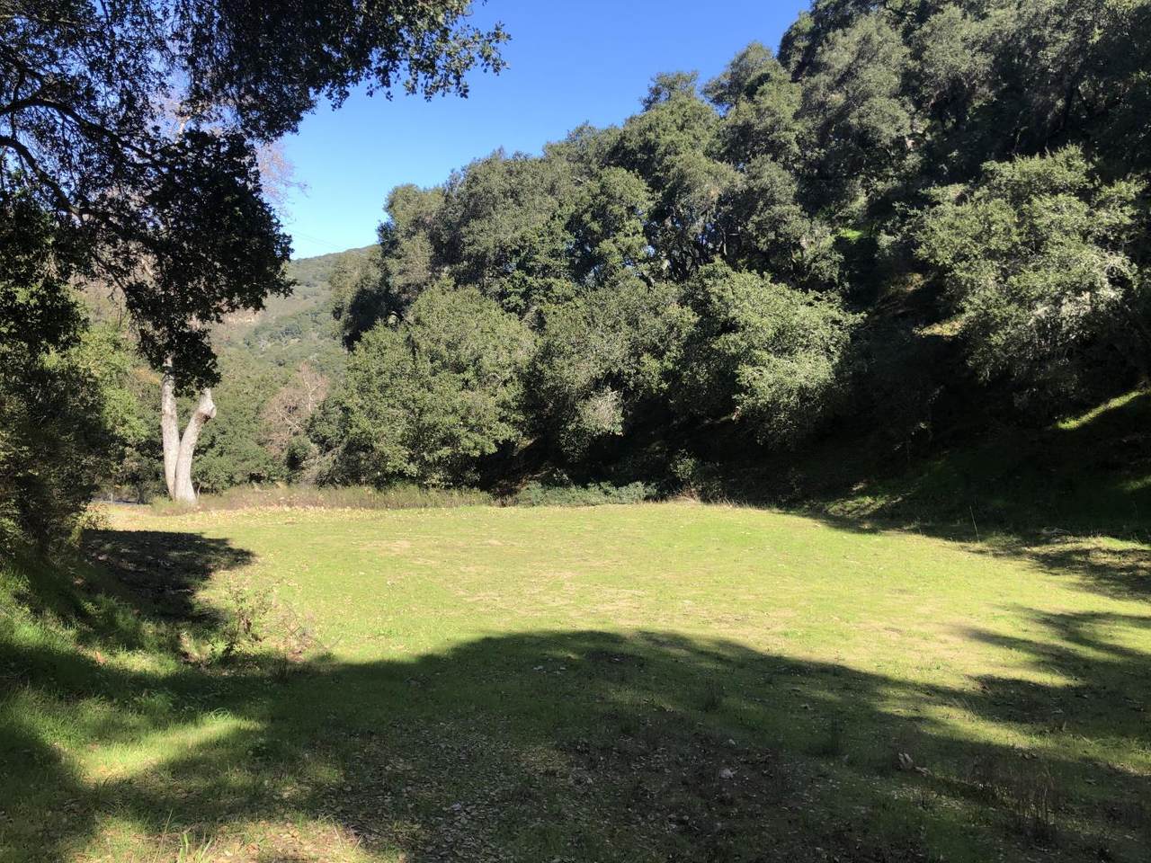 2925 Quinn Canyon Rd - Photo 1