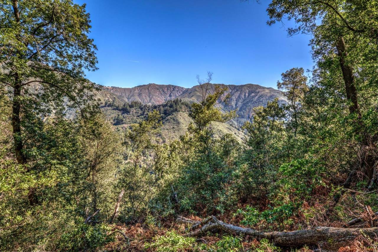 46151 Clear Ridge Rd - Photo 1