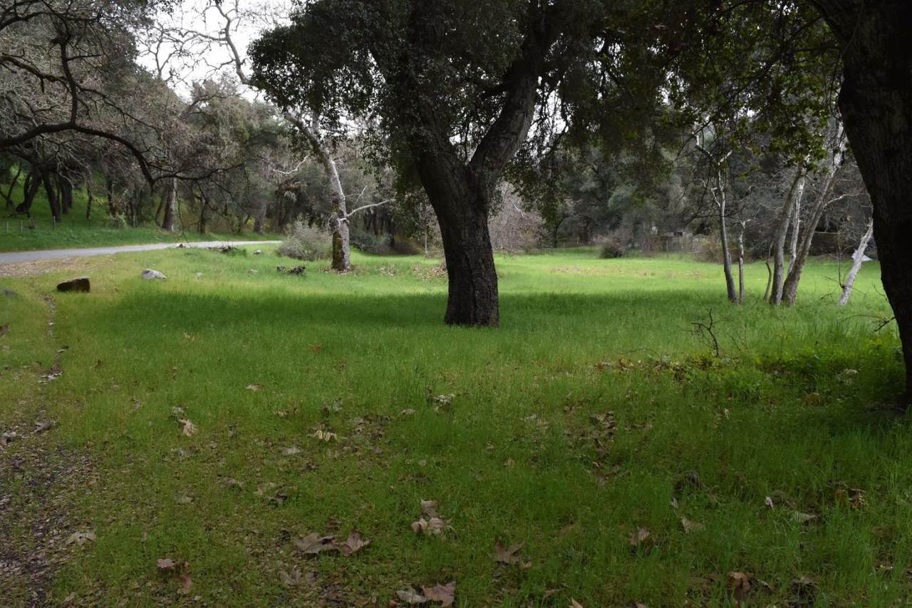 000 Corner Of Nason And Cachagua Rd - Photo 1