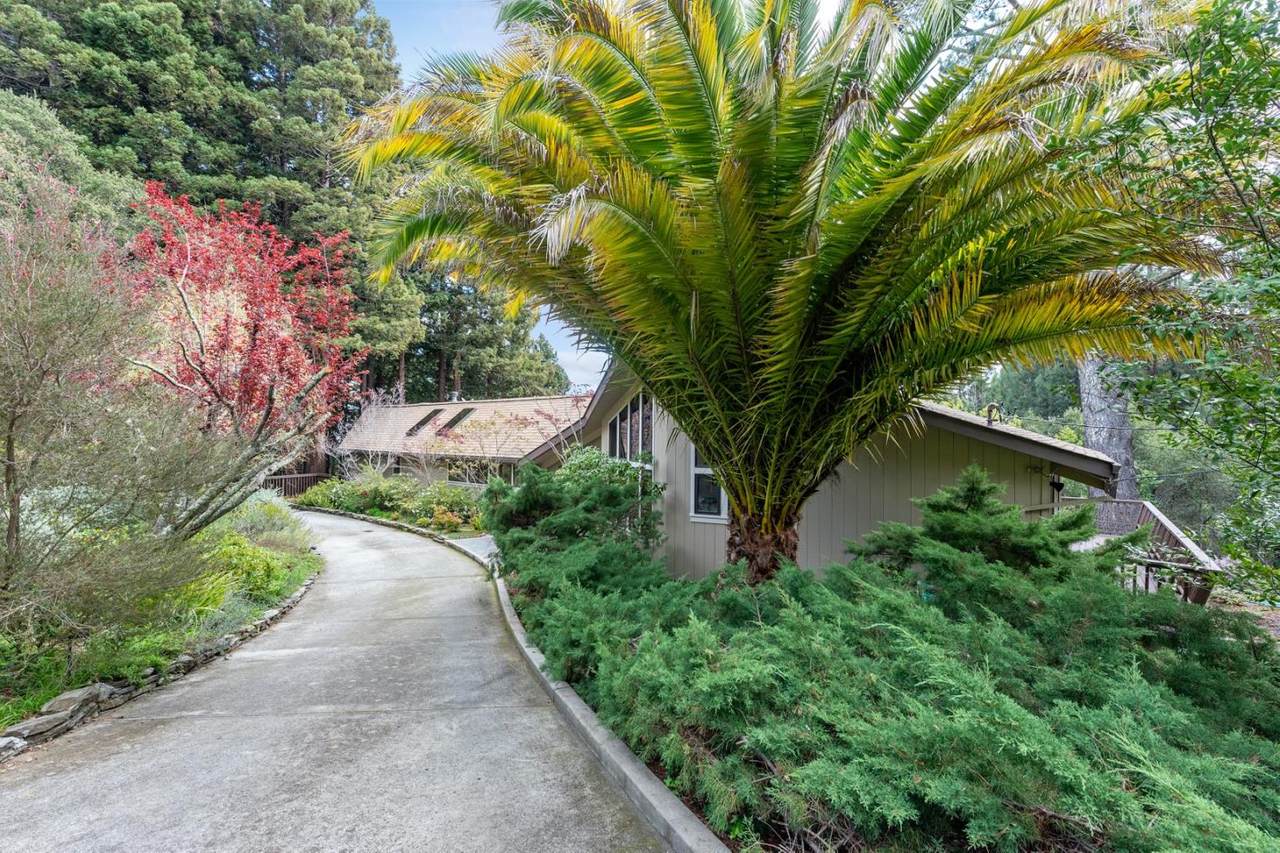65 Roan Pl - Photo 1