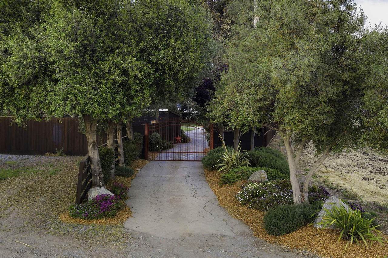 479 Riverside Rd - Photo 1