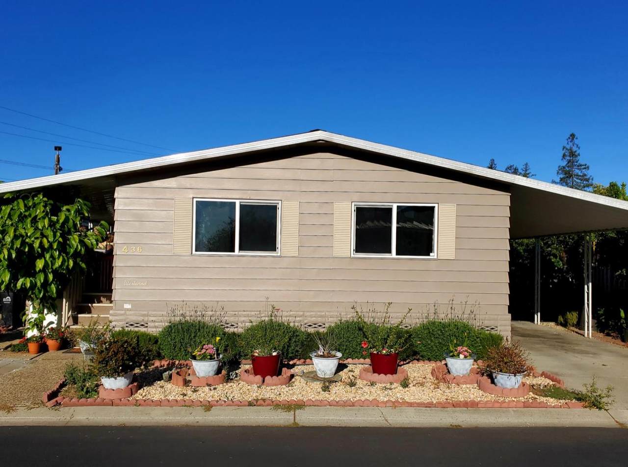 436 Lily Ann Way 436 - Photo 1